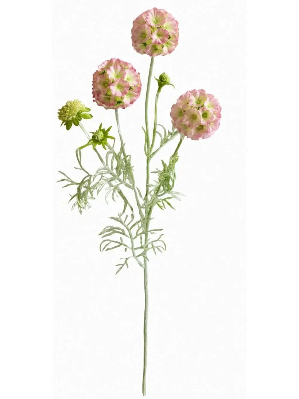 Z-A LLC artificial scabiosa