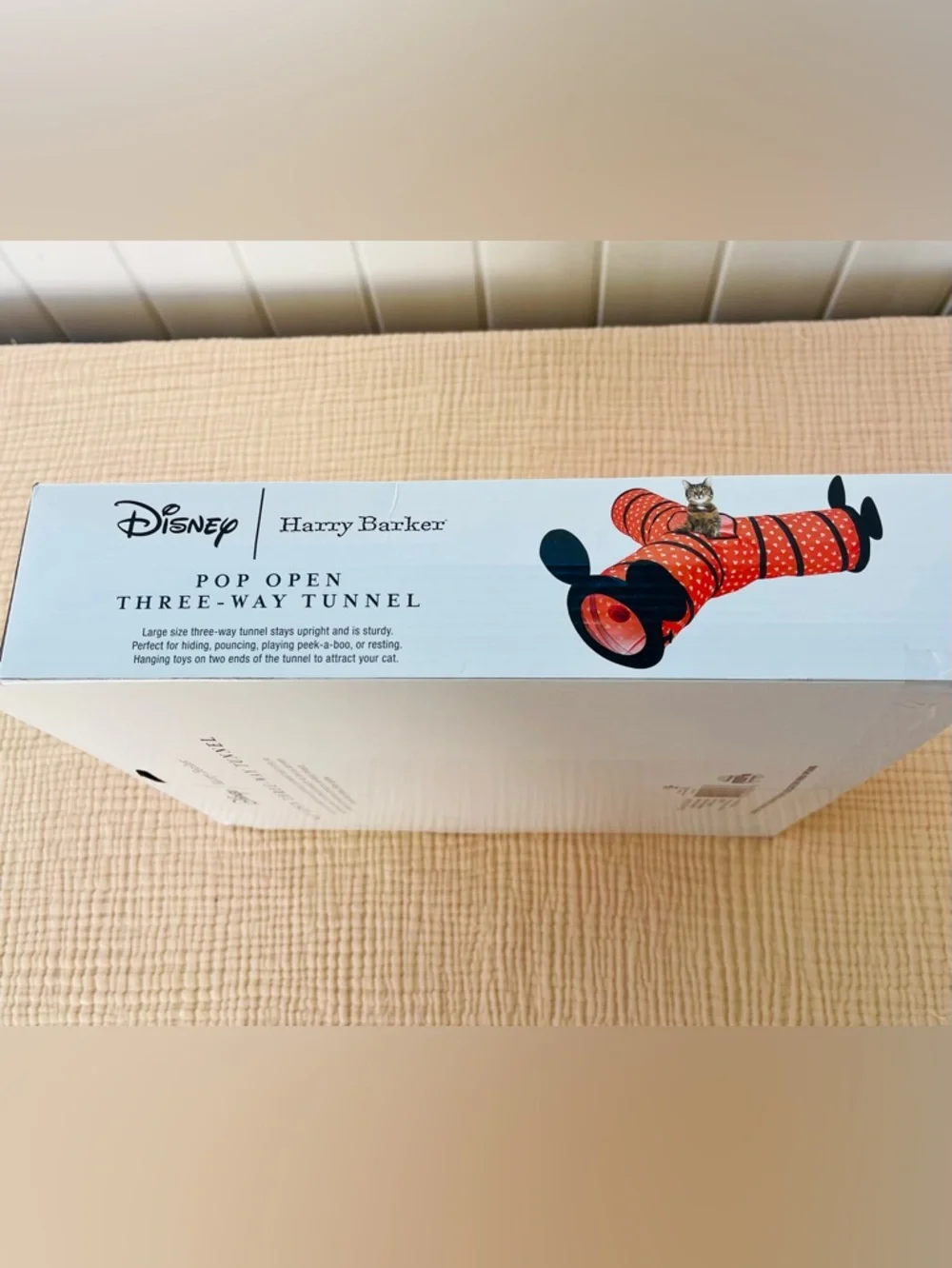 Disney mickey mouse