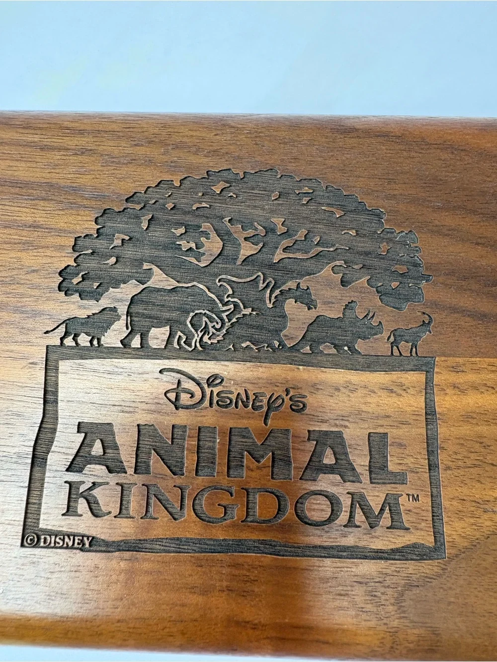 VNTG Disney Animal Kingdom Wooden Engraved Trinket Storage Keepsake Jewelry Box