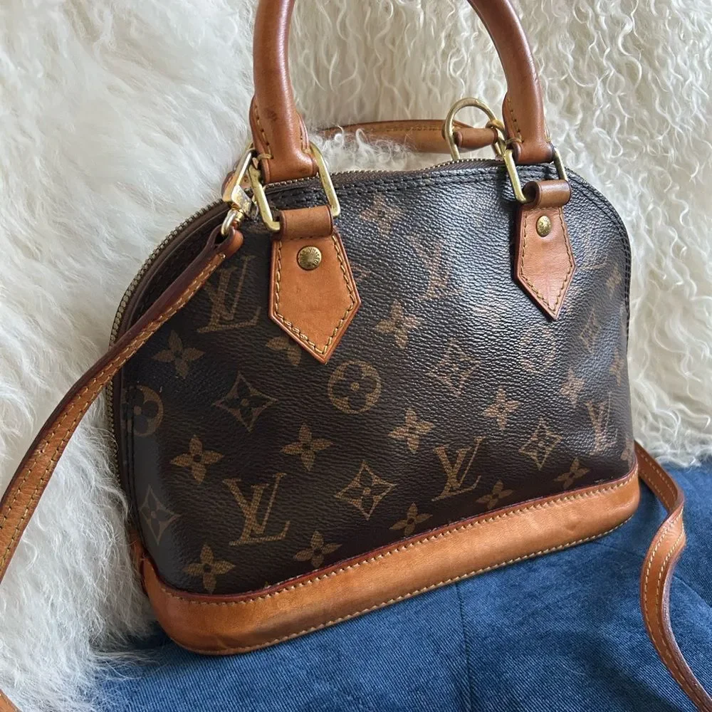Louis Vuitton chic mini