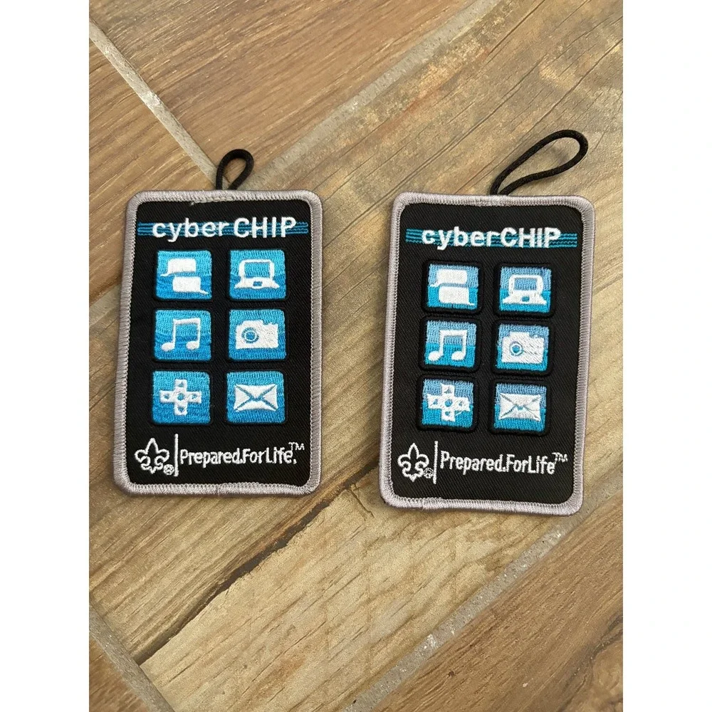 Cub Scout Cyper Chip patches- count‎ 2