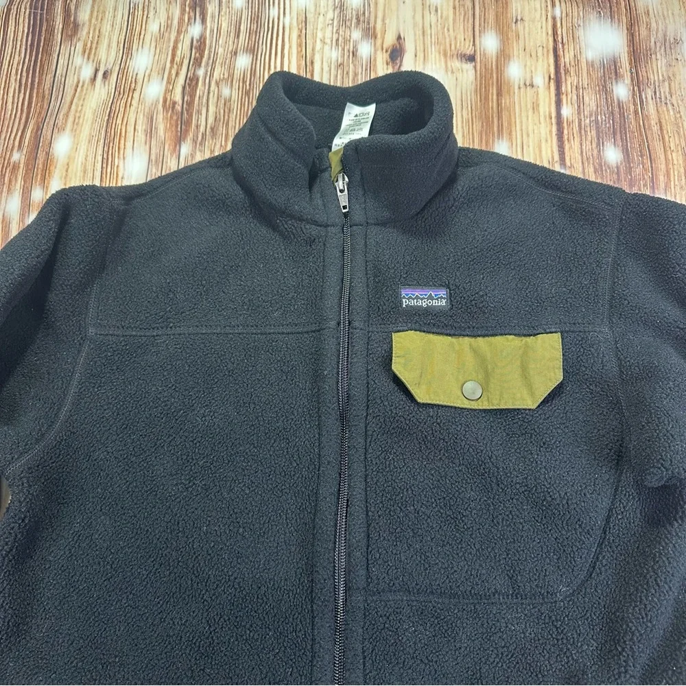 Paragonia Synchilla Snap-T Fleece Jacket Boys' Size L/ 12 Kids