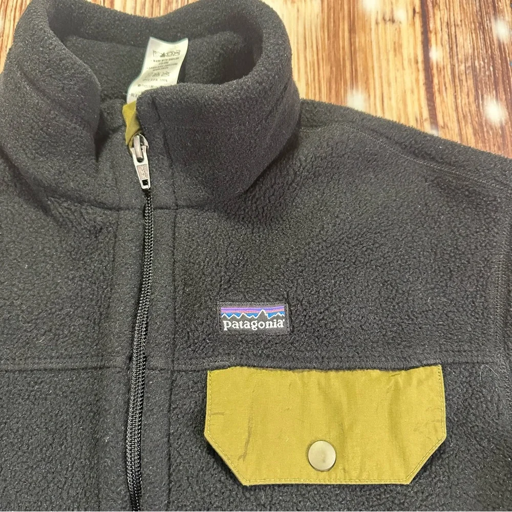 Paragonia Synchilla Snap-T Fleece Jacket Boys' Size L/ 12 Kids