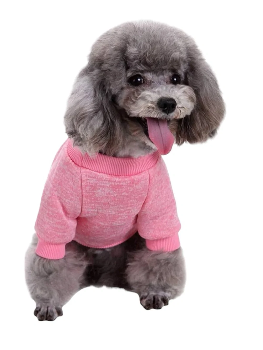 Classic pink dog