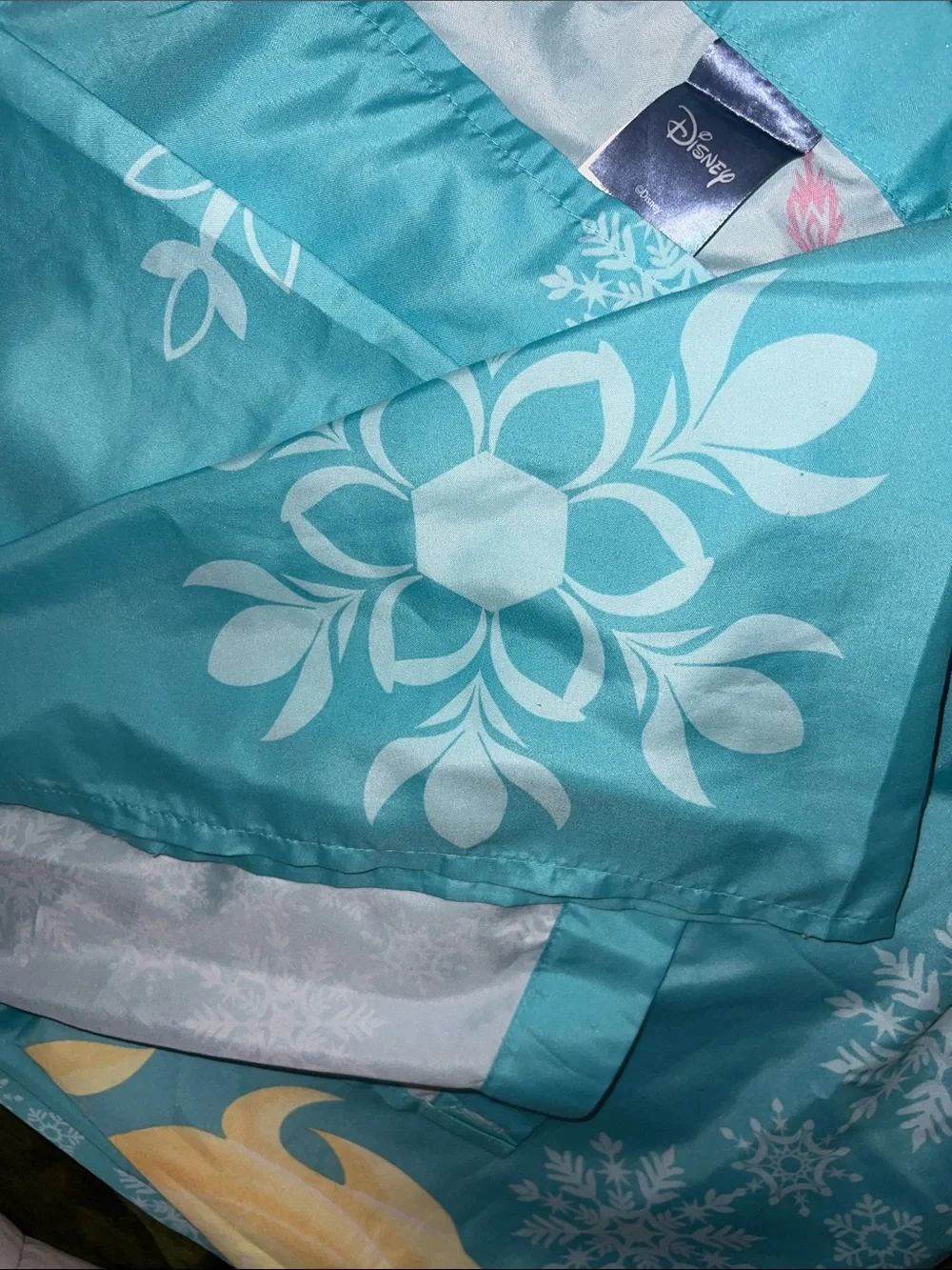 Disney long shower