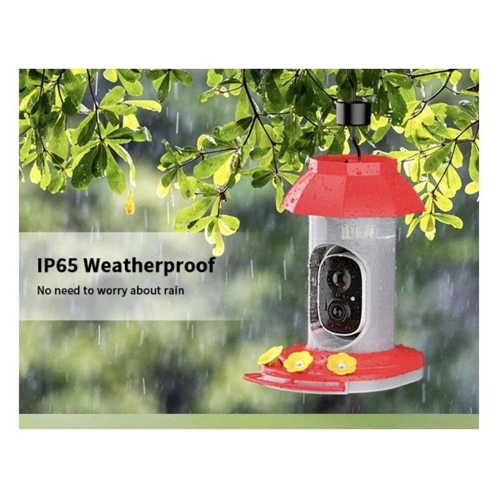 HARYMOR G10 Smart Hummingbird Feeder with Camera Solar Powered, AI Identify