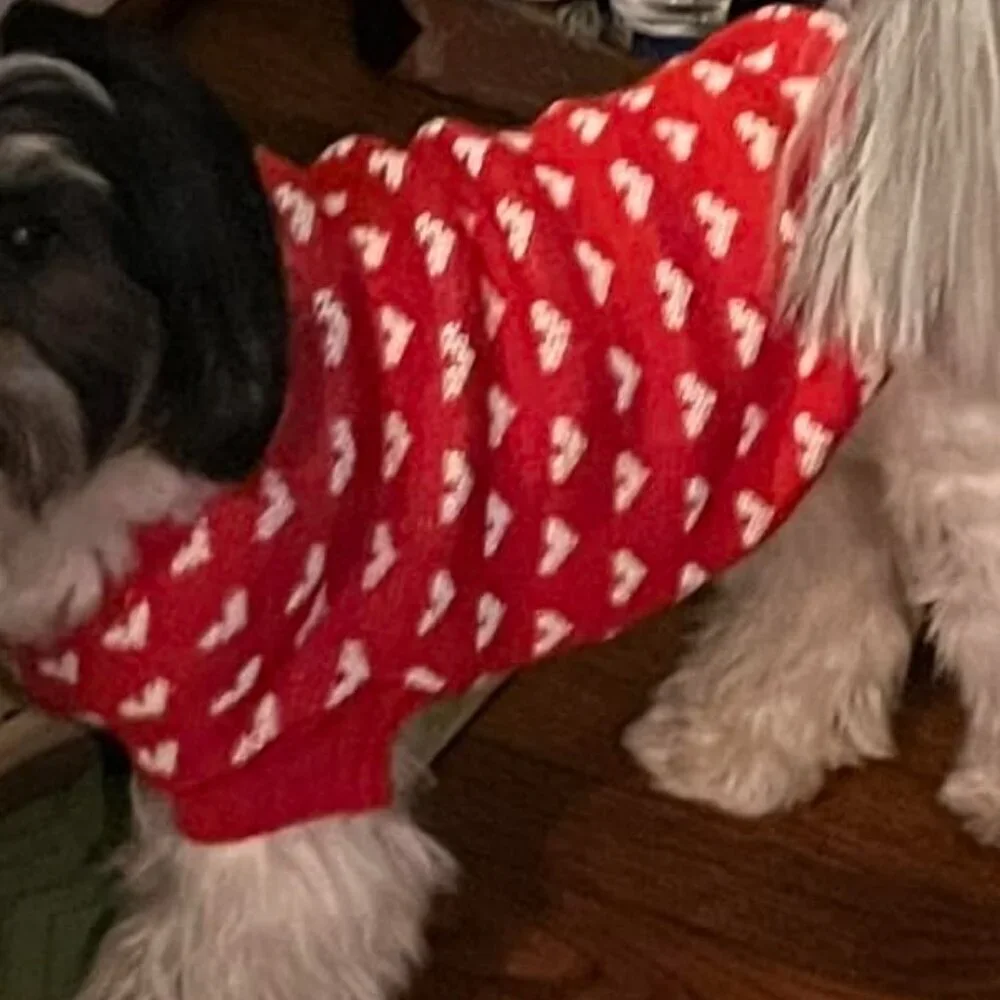 N/A red dogs