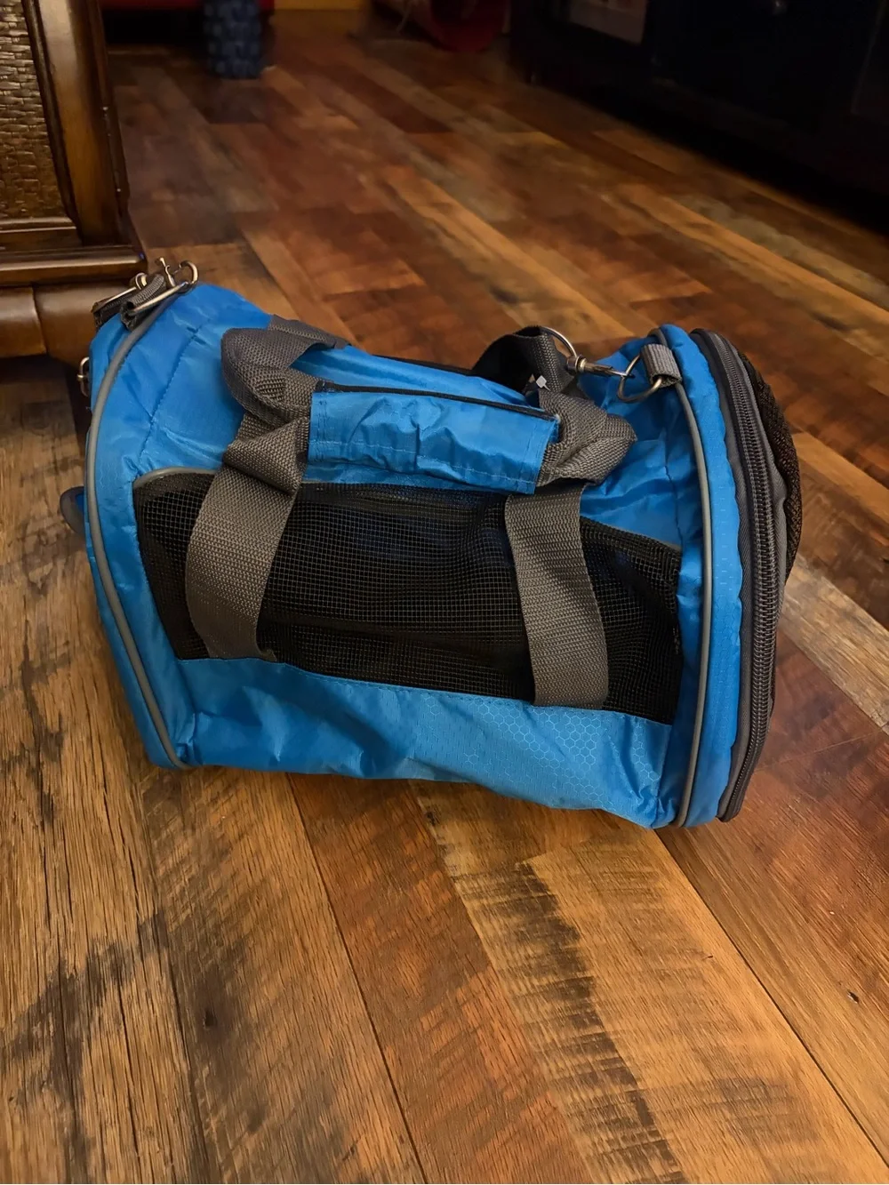 Small animal carrier