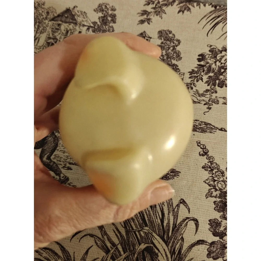 Sanitoy vtg plastic