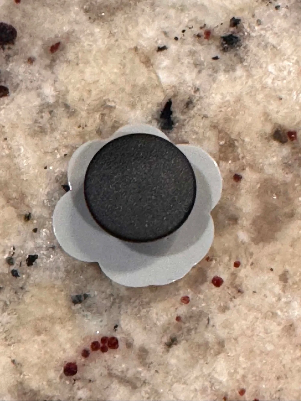 CROCS paw print