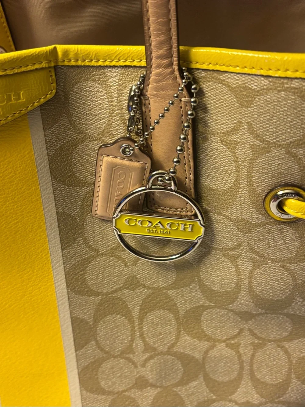 Coach signature canvas