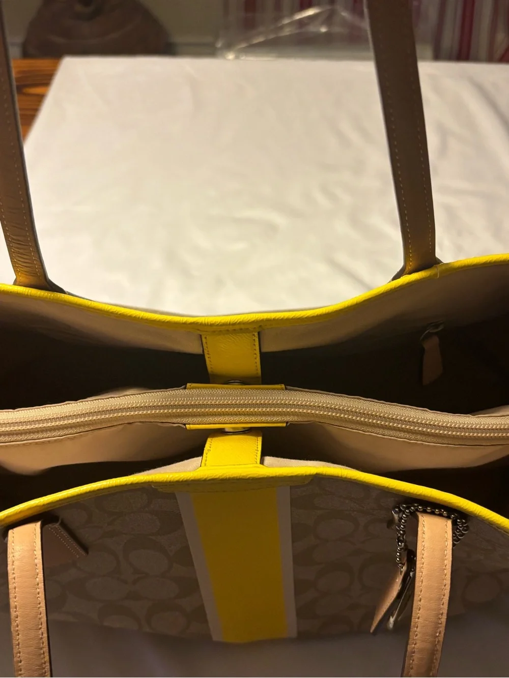 Coach signature canvas