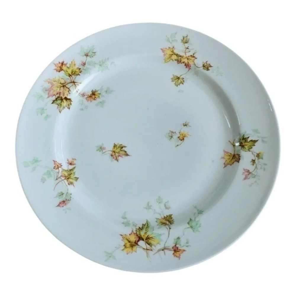 Limoges vintage haviland