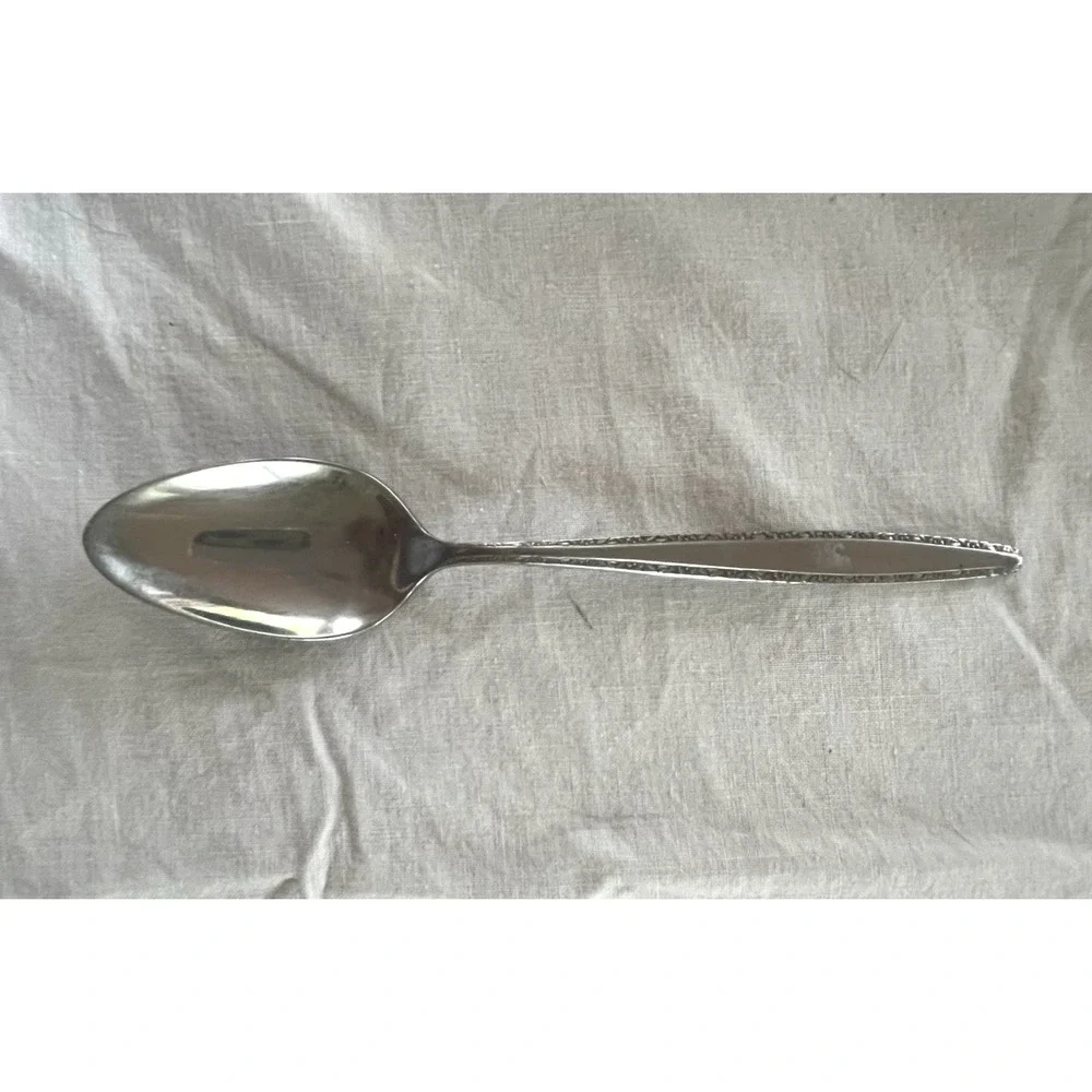 International Decorator FASCINATION‎ Stainless Steel Spoon