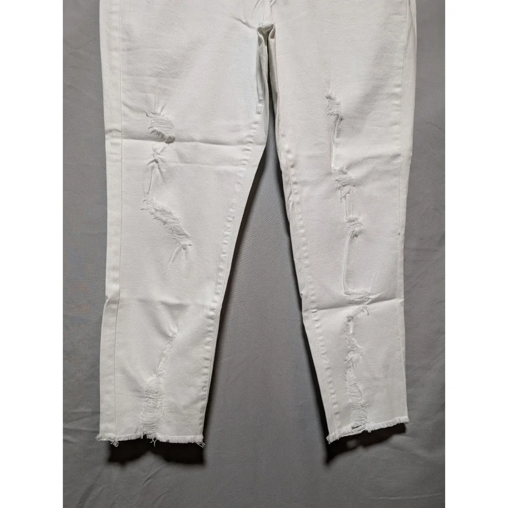 New York & Company york 11 spandex