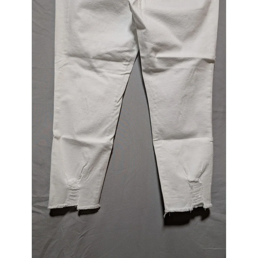 New York & Company fashion spandex