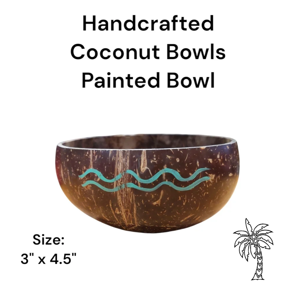 Handcrafted and Handpainted Coconut Bowl