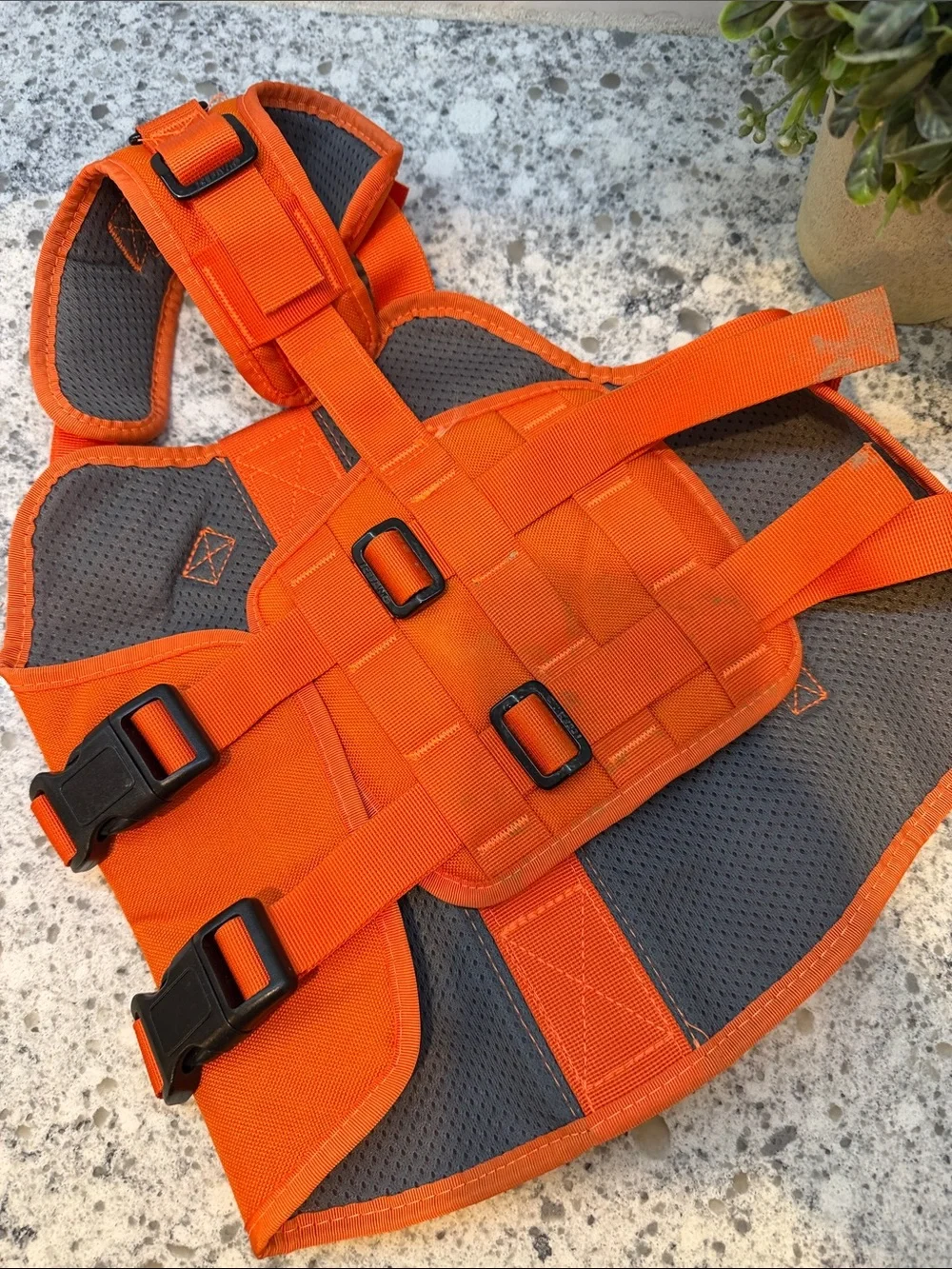 Ice Fang bright orange
