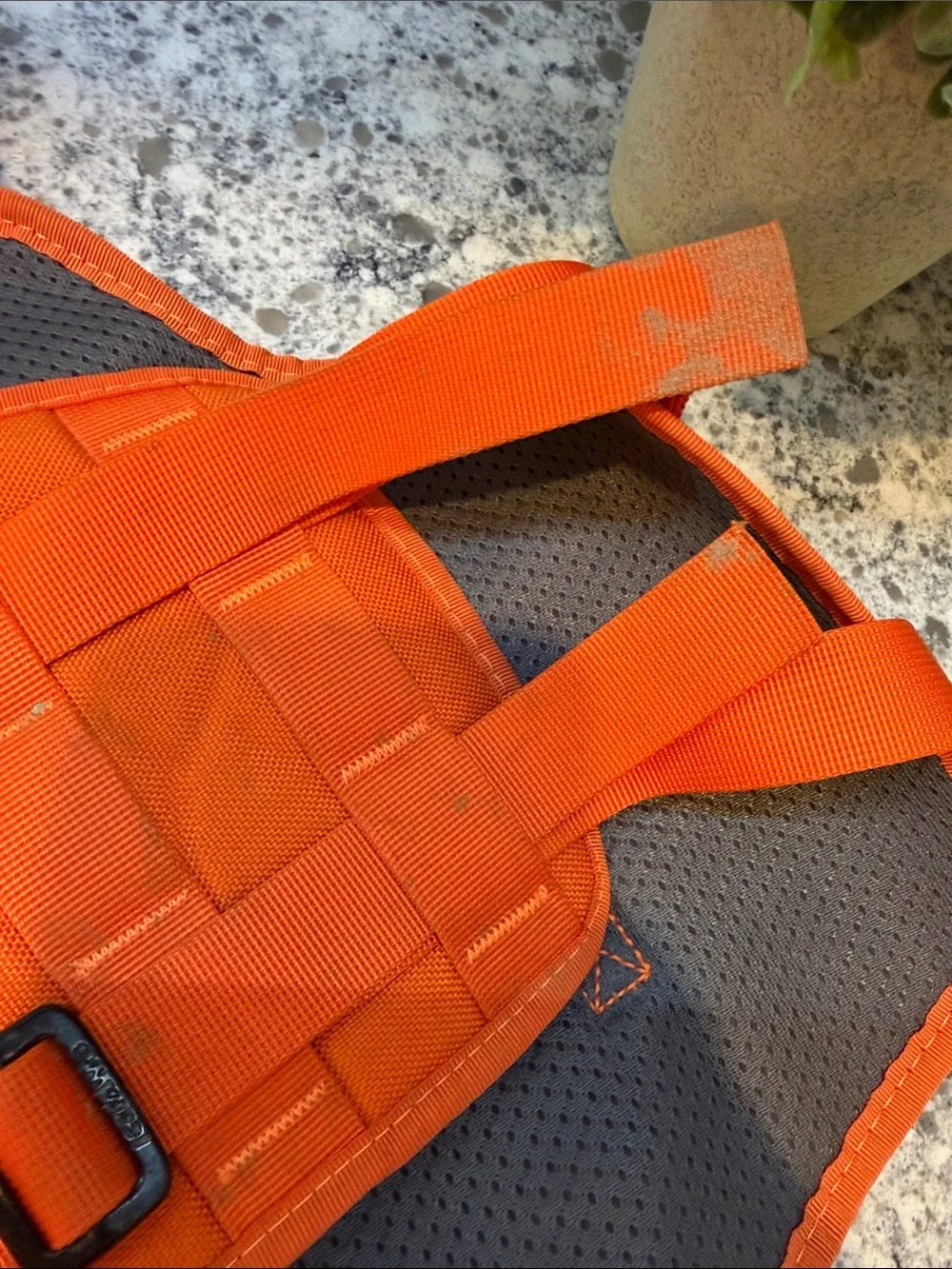 Ice Fang bright orange