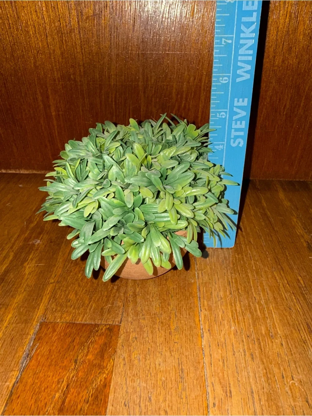 Artificial Green Succulent Plant in Terracotta Pot - Home Accents