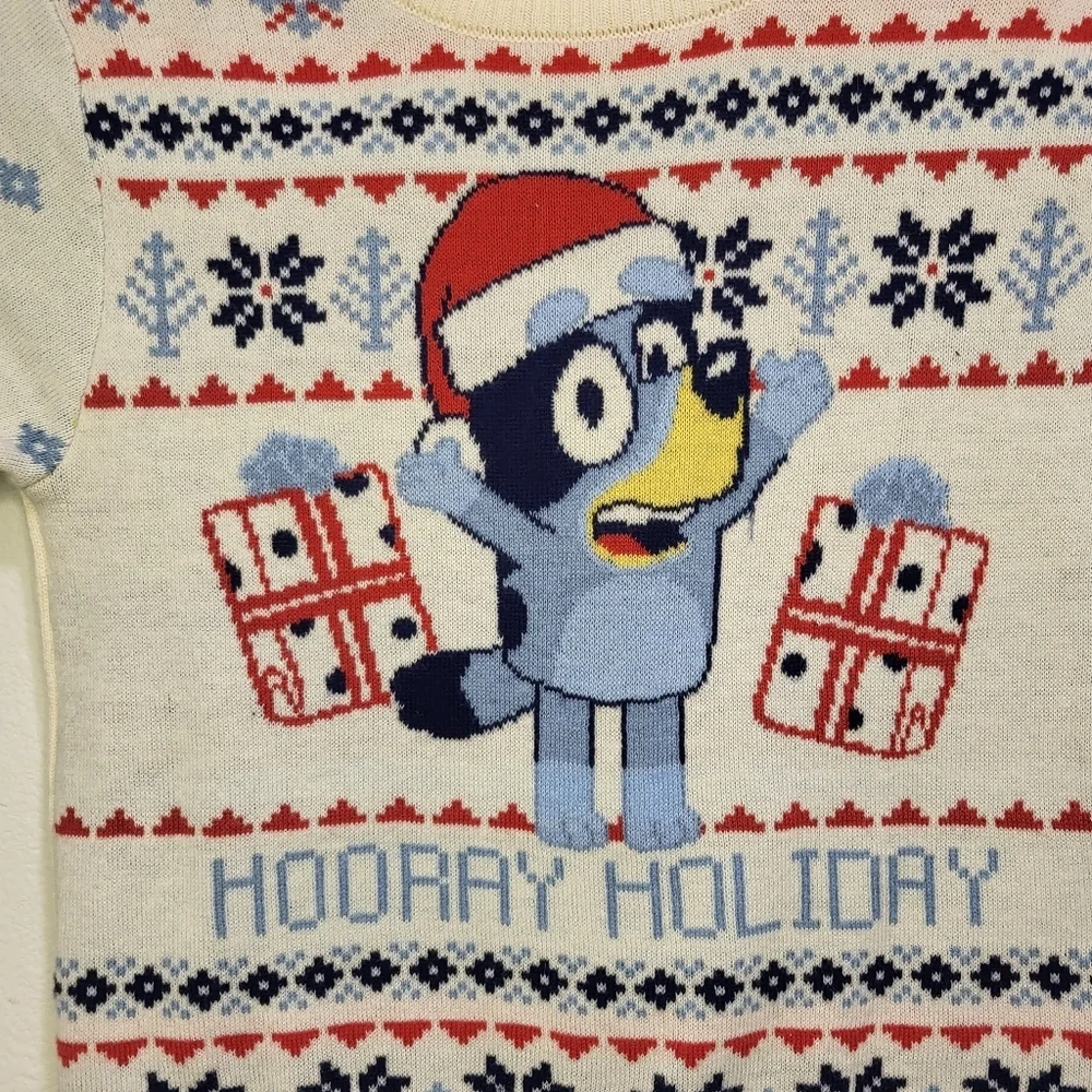 Bluey holiday sweater