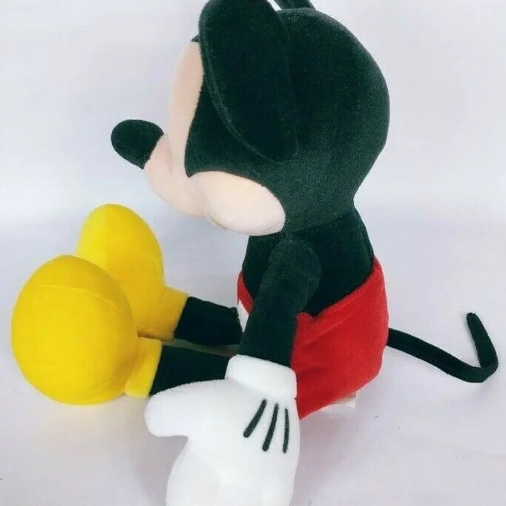 Disney dream international