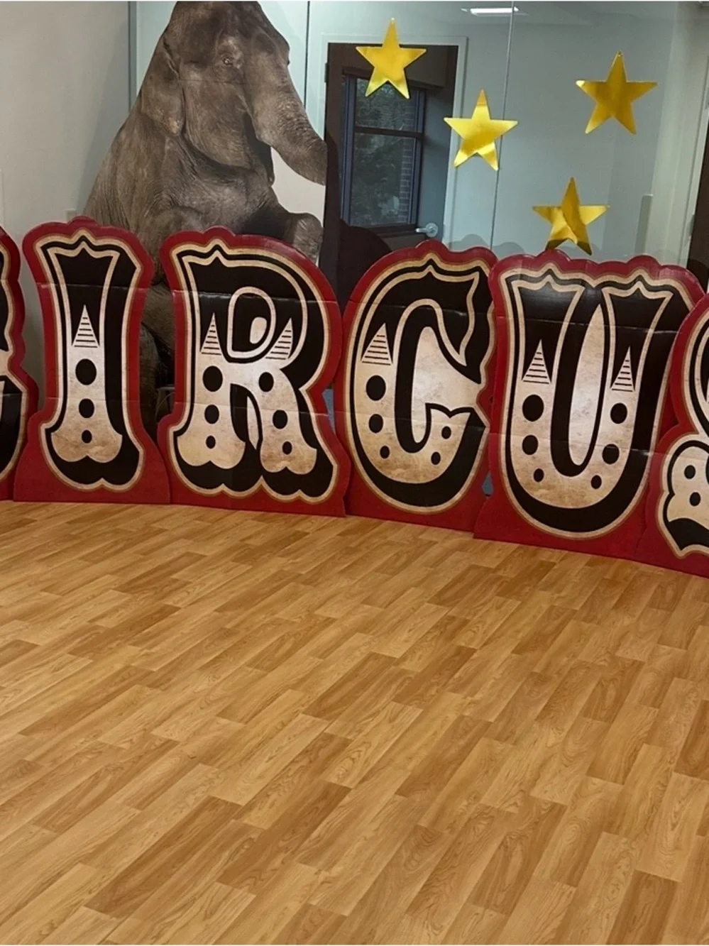 N/A bold circus