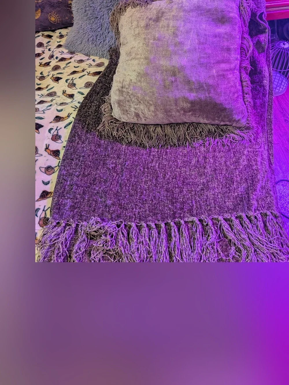 Pier 1 soft velvet