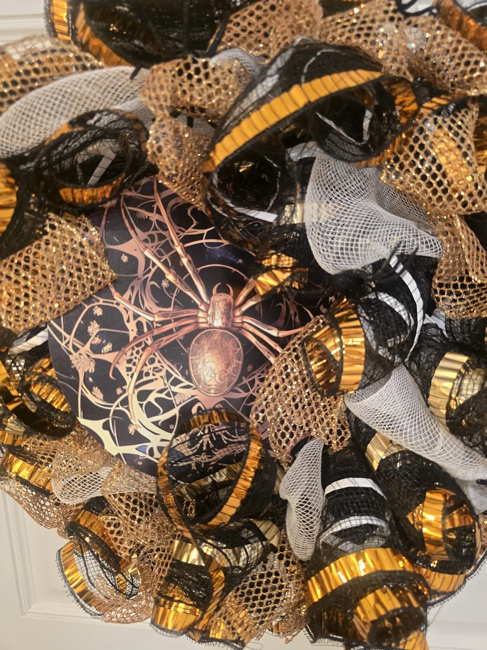 N/A small spider