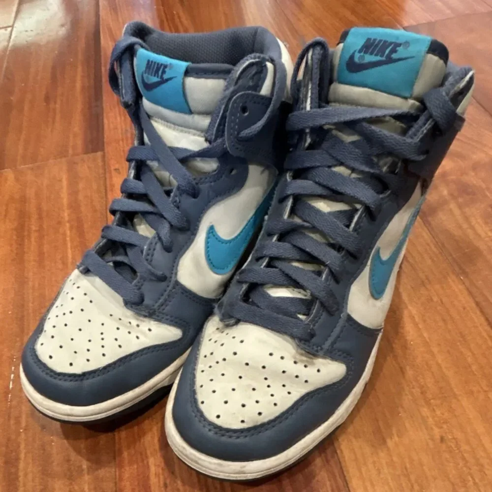 Nike dunk boys