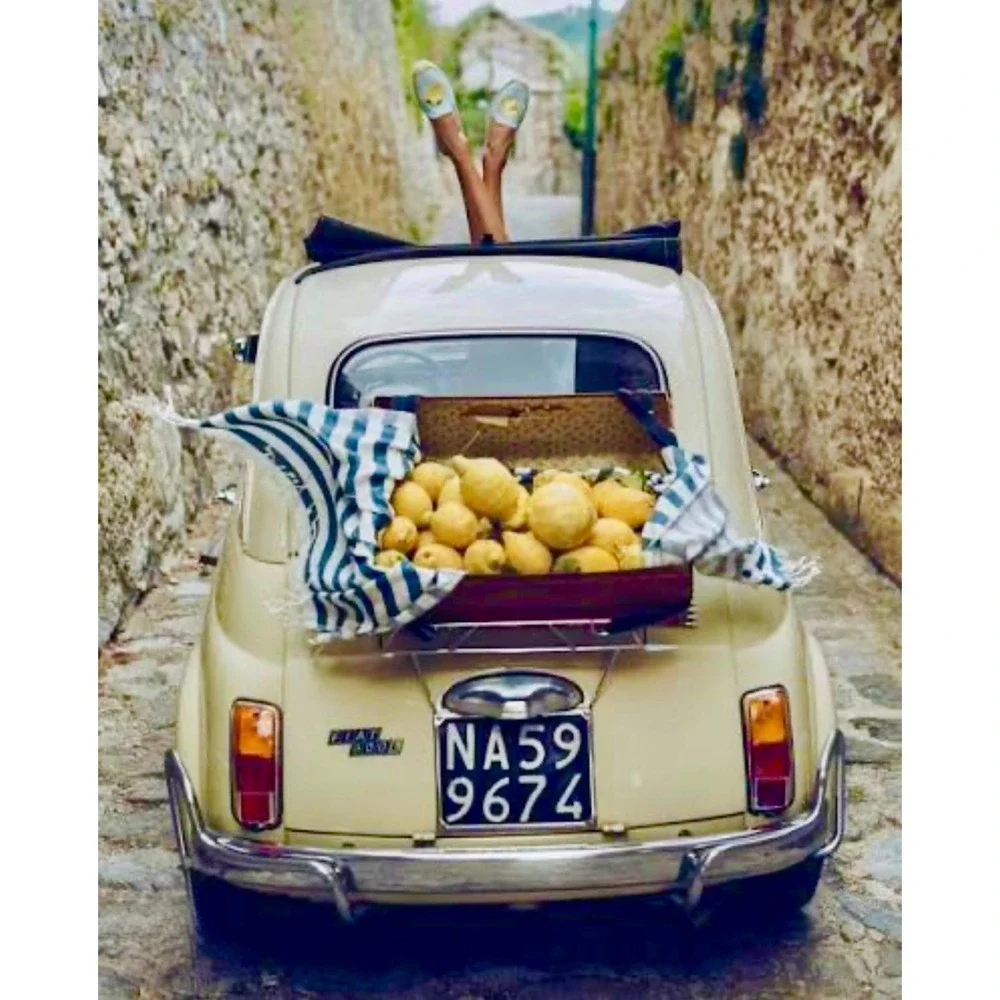 popular chic
