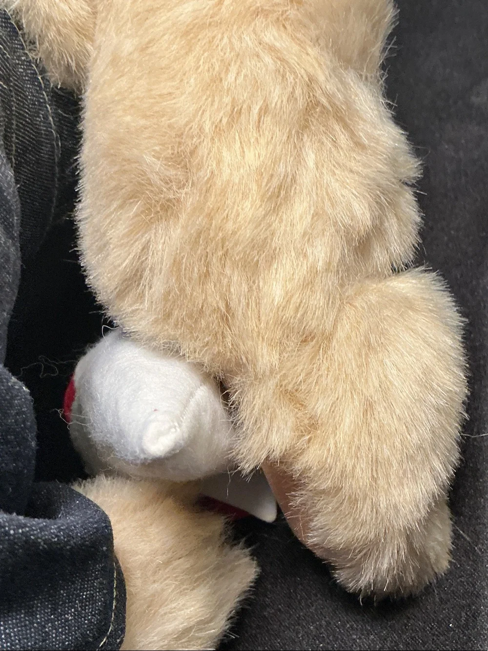Vermont Teddy Bear soft beige