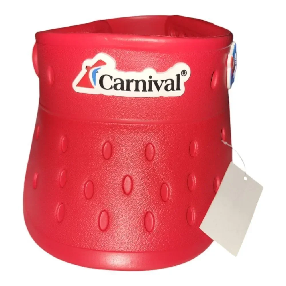 Vizers nwt carnival