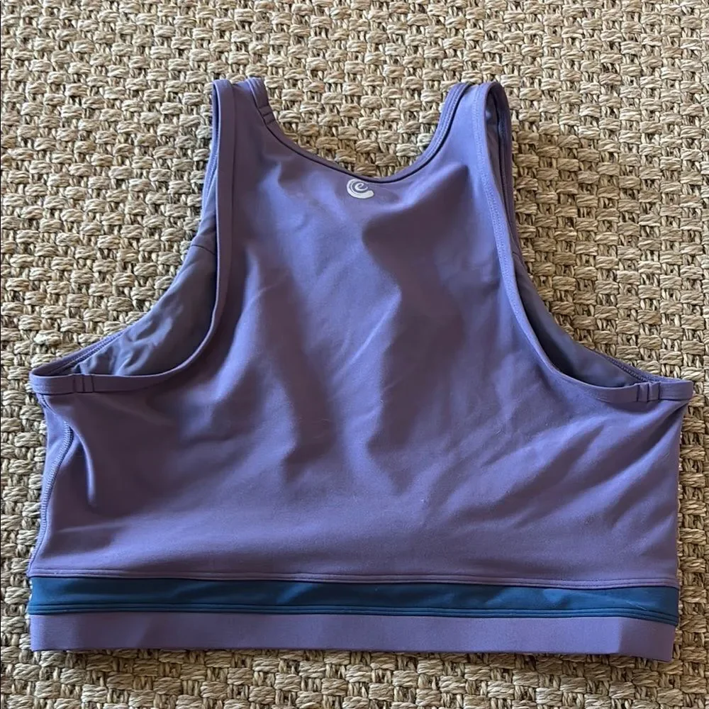 Calme stylish purple