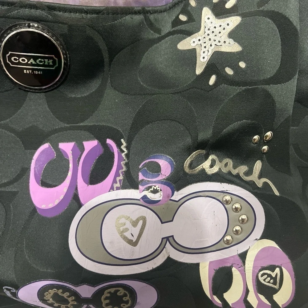Coach interior strap