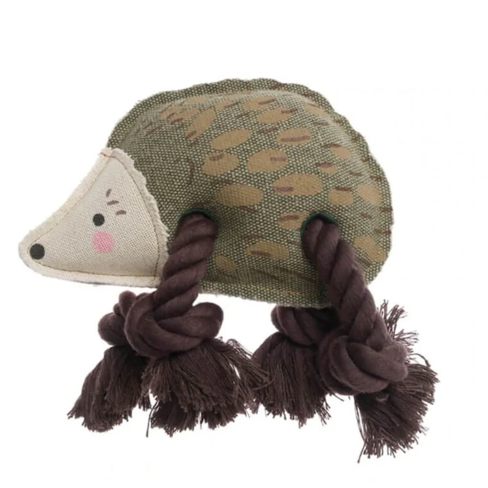 Sophie Allport new hedgehog