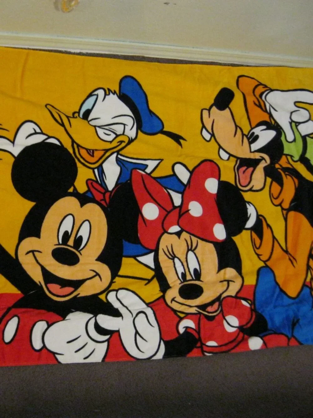 Disneyland Beach Towel