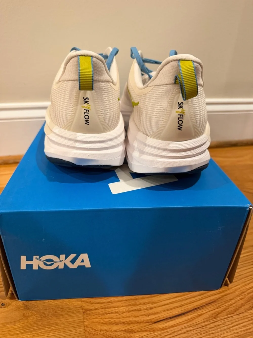 Men's Hoka Skyflow