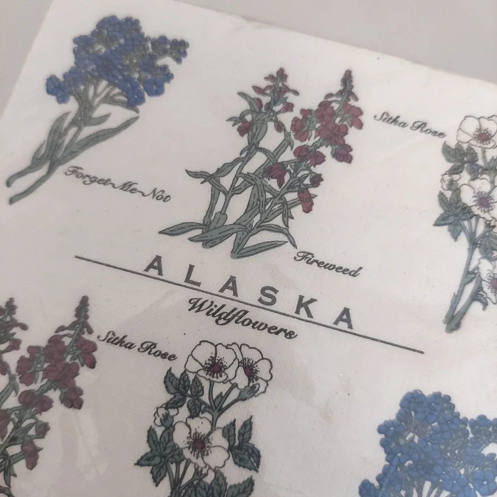 IAAC Inc. Indian Arts & Crafts vintage alaska