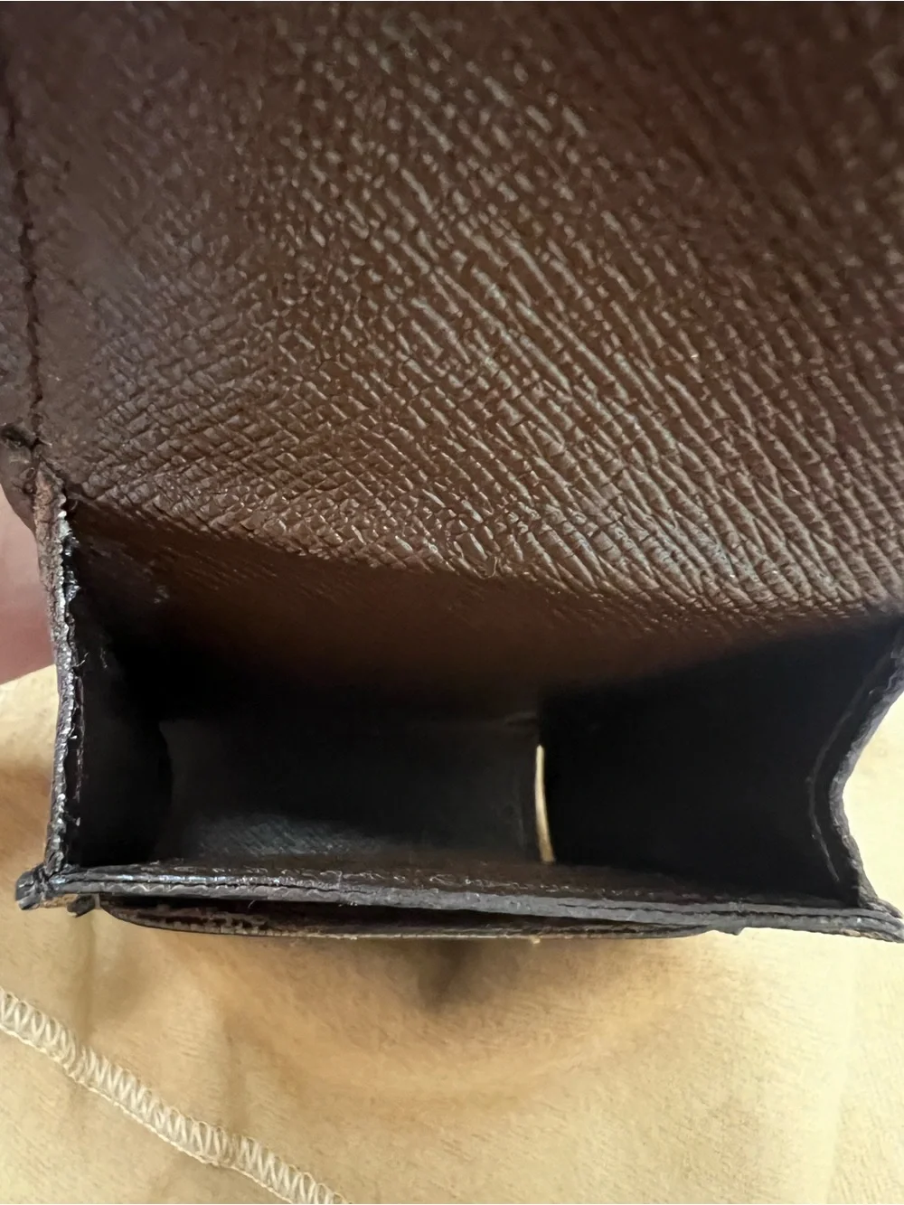Louis Vuitton authentic louis