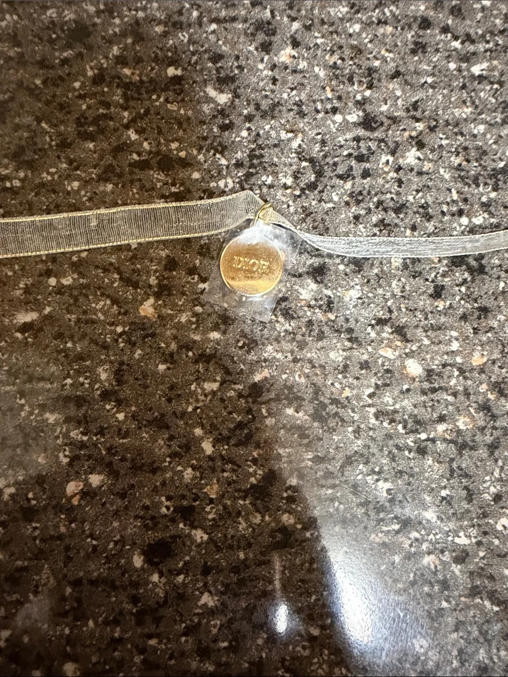 Dior GWP Gold-tone Round Charm Ribbon Choker nwob