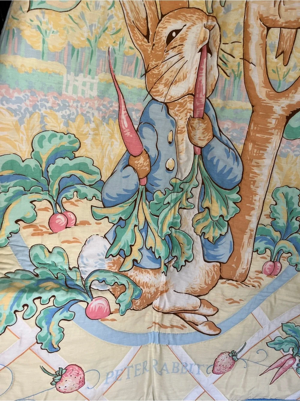 Peter Rabbit vibrant back