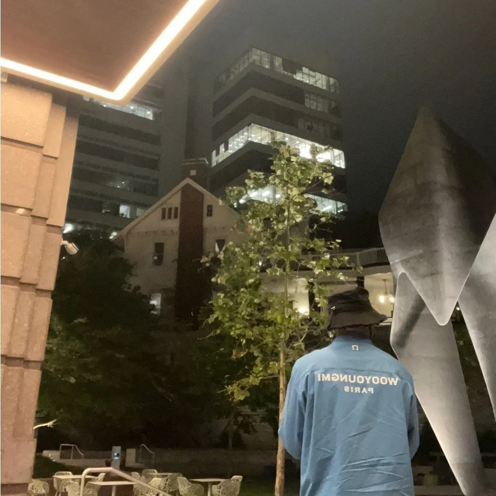 Wooyoungmi paris blue