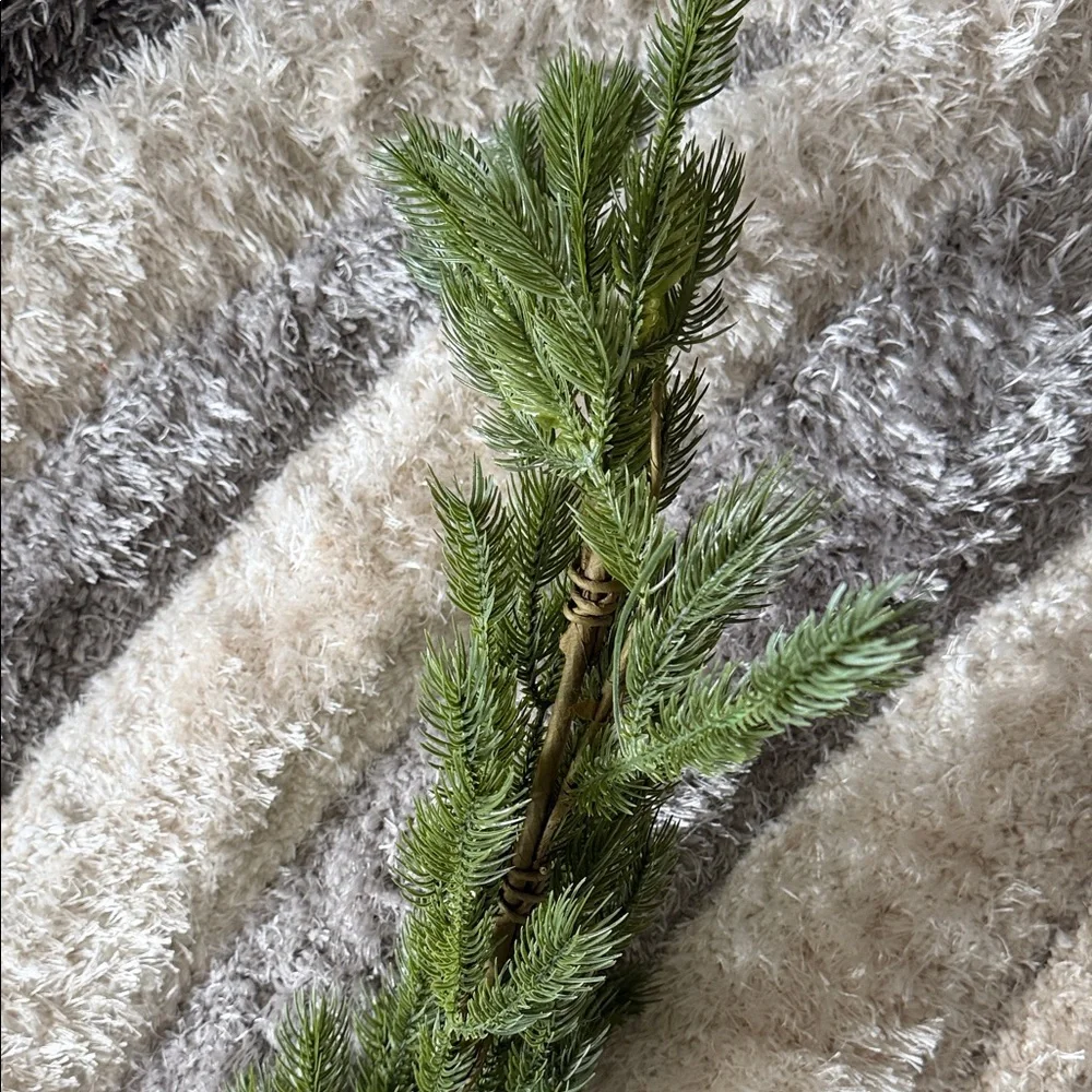 N/A lush pine