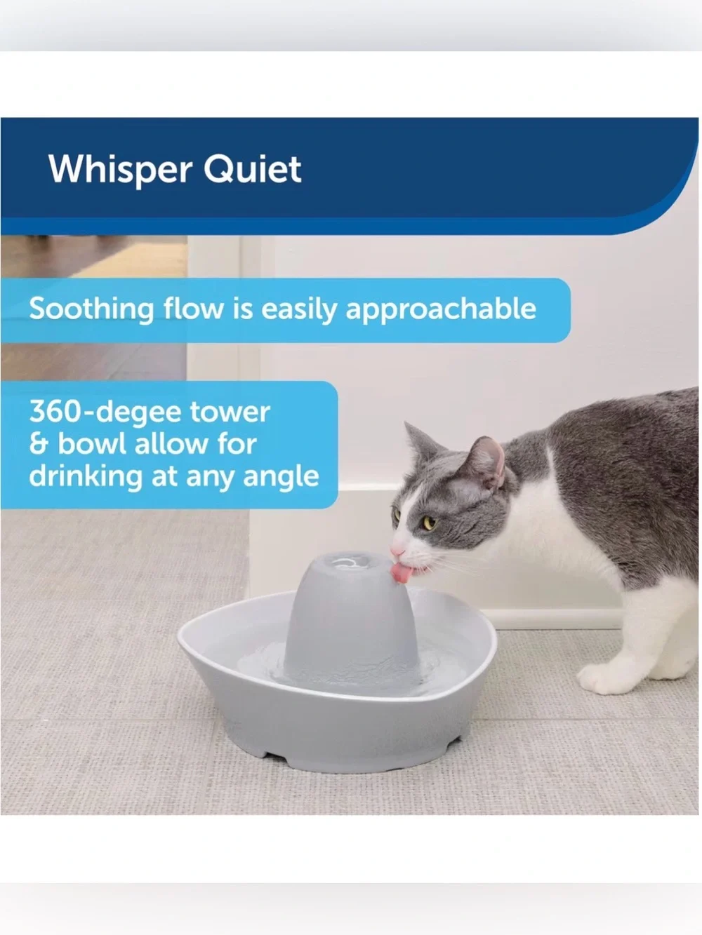 PetSafe been stagnant fountain