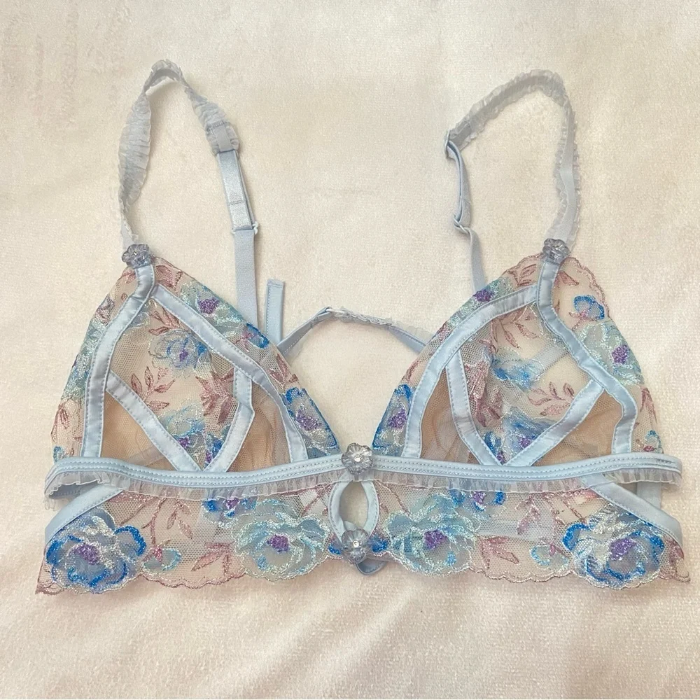 For Love And Lemons gorgeous sheer
