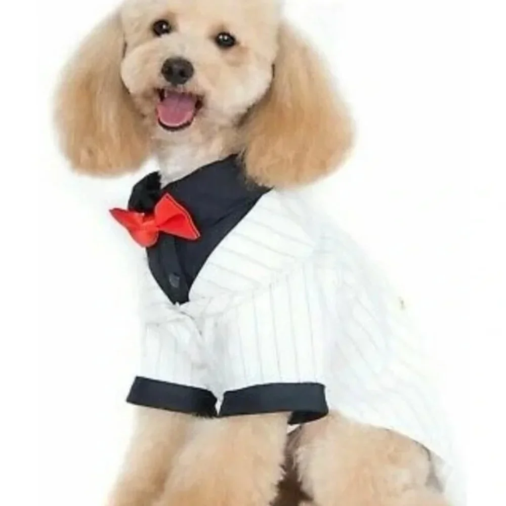 NEW Alfie White Black Stripe Formalwear‎ Bowtie Tie Dog Puppy Tux Tuxedo Suit S