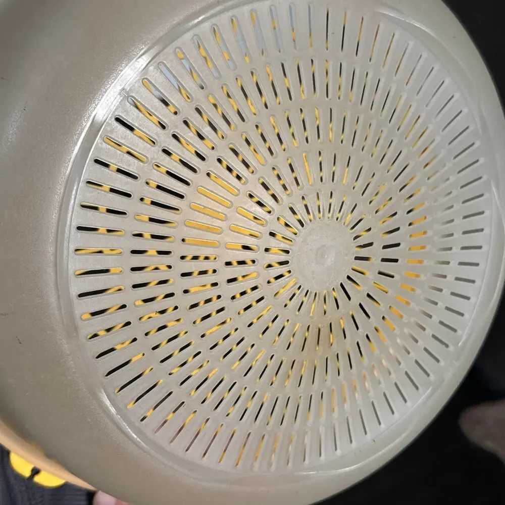 Tupperware bowl lettuce