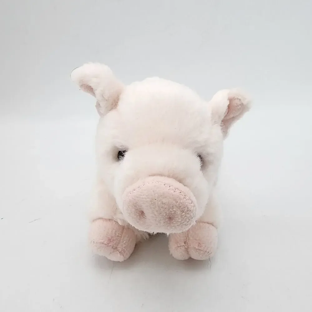 Aurora miyoni pig