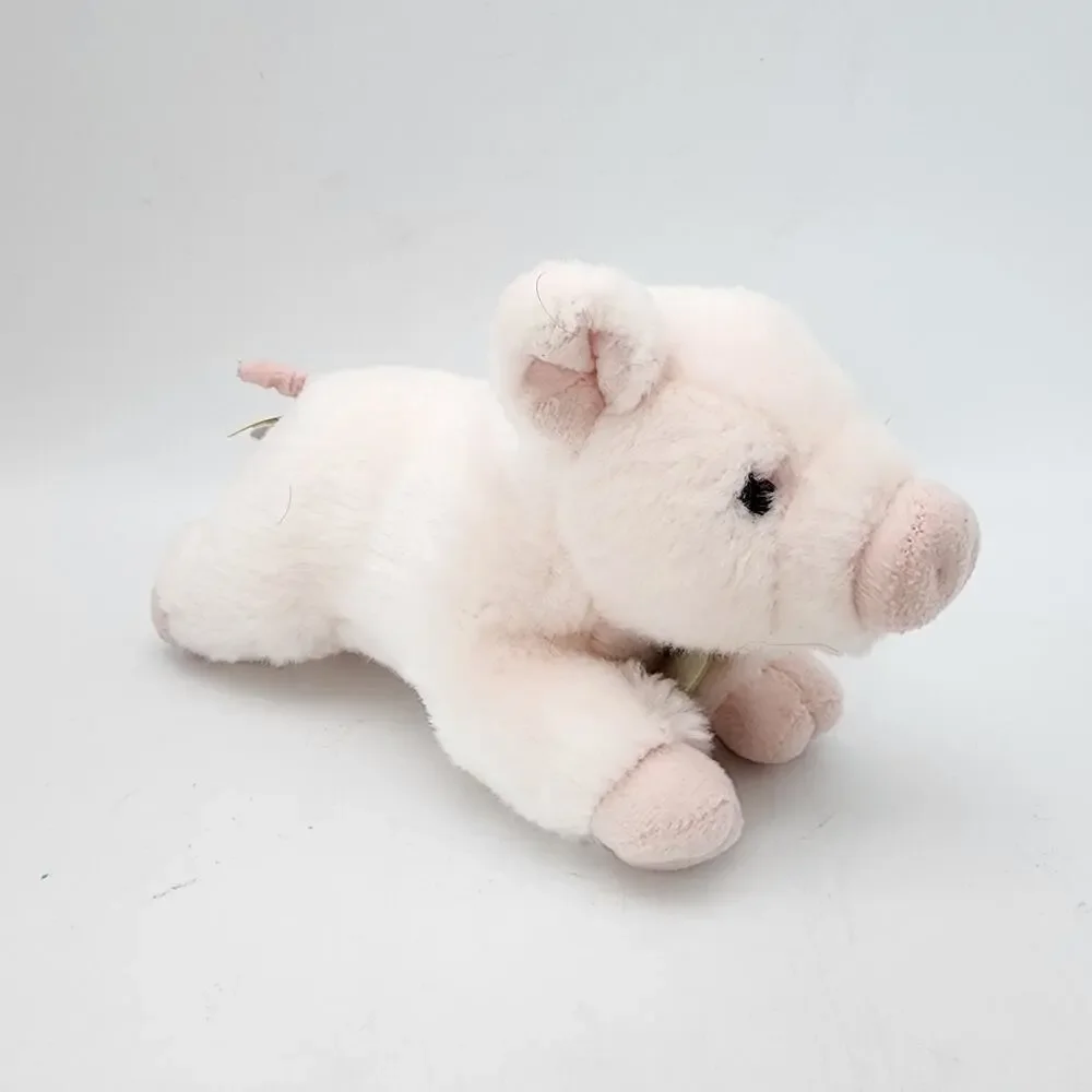 Aurora miyoni pig